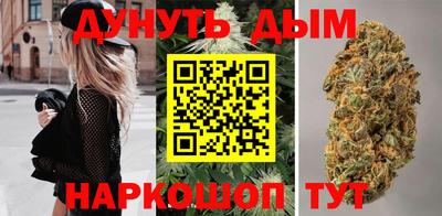сатива Рязань