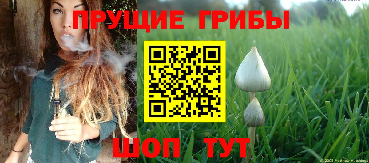 Ростов Великий  Псилоцибиновые грибы Psilocybine cubensis  Вход с VPN  Псилоцибиновые грибы Psilocybe 